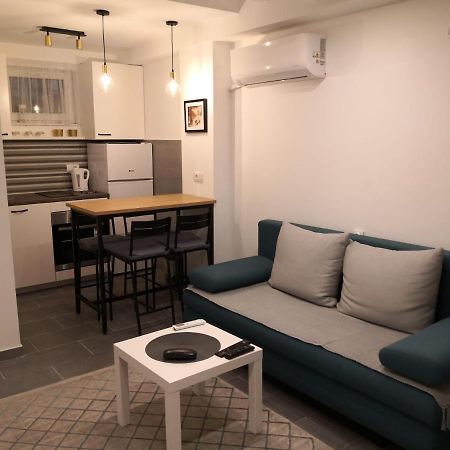 Bibi Zahumska Apartman 贝尔格莱德 外观 照片