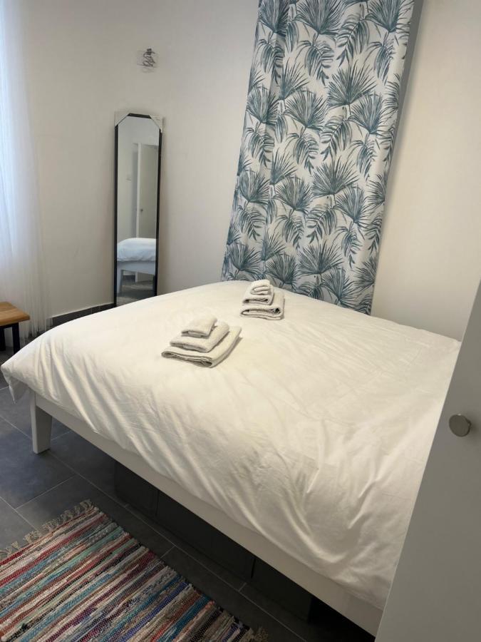 Bibi Zahumska Apartman 贝尔格莱德 外观 照片