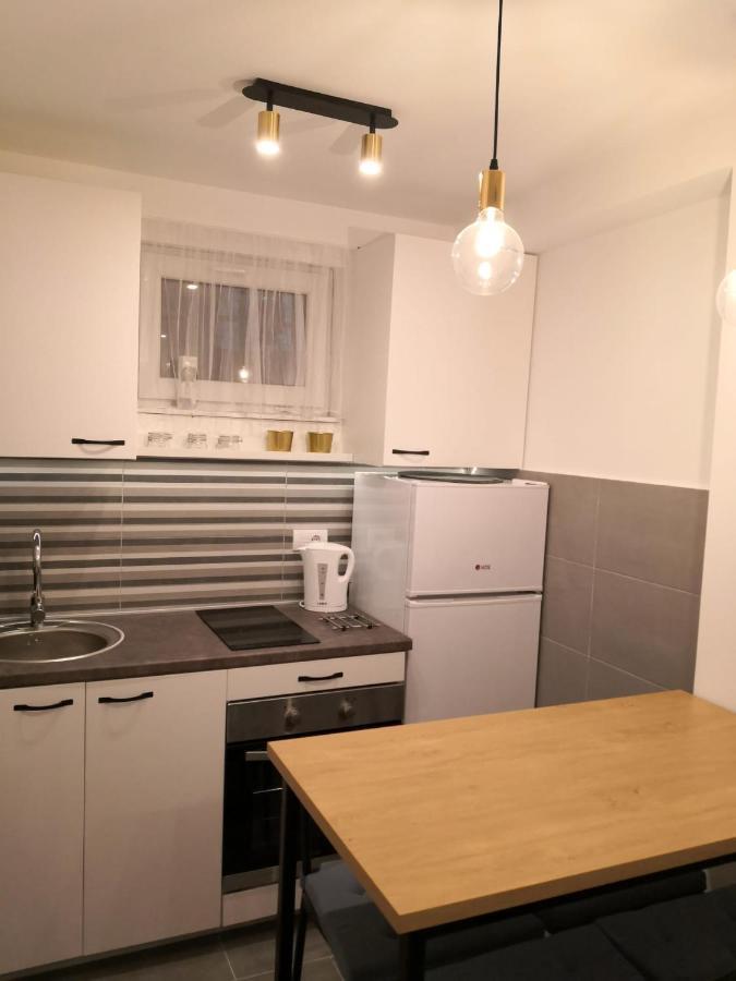 Bibi Zahumska Apartman 贝尔格莱德 外观 照片