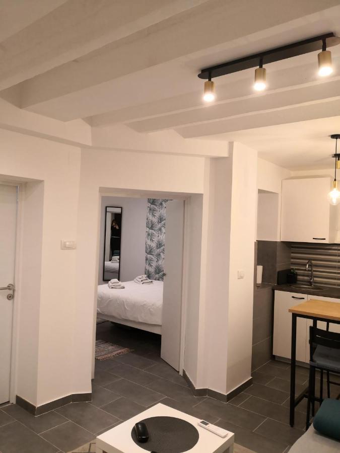 Bibi Zahumska Apartman 贝尔格莱德 外观 照片
